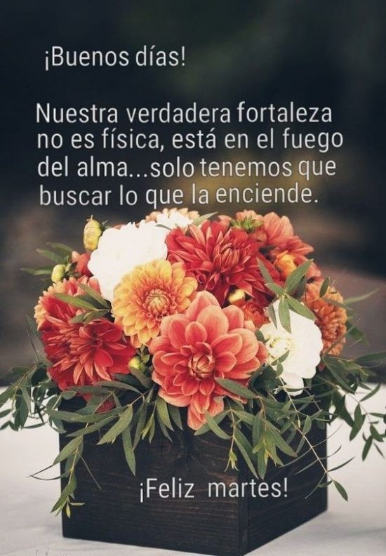 Im Genes Feliz Martes Frases Y Mensajes Para Un Martes Feliz